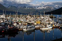 Alaska & Yukon : Haines